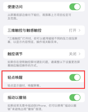 娄星苹果授权维修站分享iPhone轻点无法唤醒怎么办 