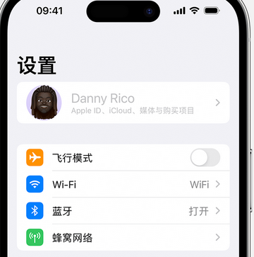 娄星appleID维修服务iPhone设置中Apple ID显示为灰色无法使用