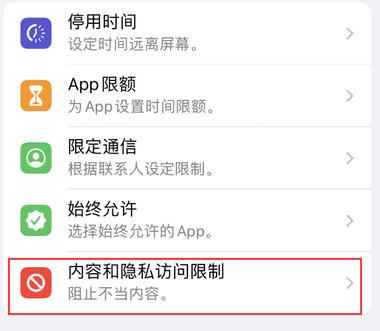 娄星appleID维修服务iPhone设置中Apple ID显示为灰色无法使用