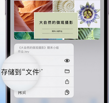 娄星apple维修中心分享iPhone文件应用中存储和找到下载文件