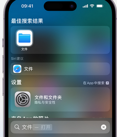 娄星apple维修中心分享iPhone文件应用中存储和找到下载文件