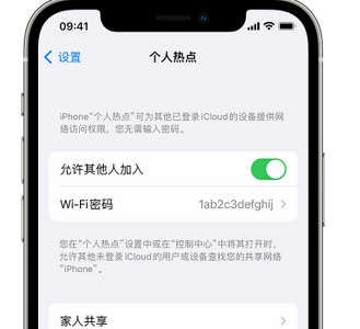 娄星apple服务站点分享iPhone上个人热点丢失了怎么办 