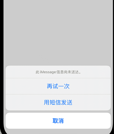 娄星apple维修iPhone上无法正常发送iMessage信息