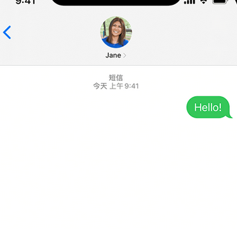 娄星apple维修iPhone上无法正常发送iMessage信息