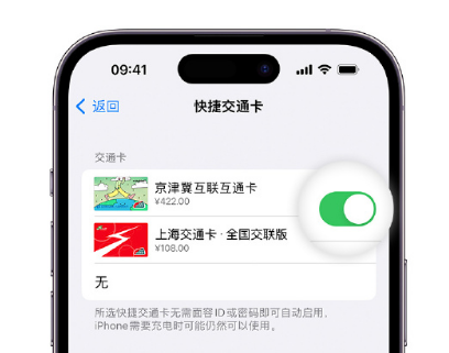 娄星apple维修点分享iPhone上更换Apple Pay快捷交通卡手绘卡面 