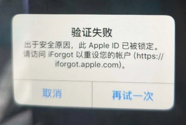 娄星iPhone维修分享iPhone上正常登录或使用AppleID怎么办 