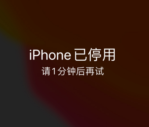 娄星苹果手机维修分享:iPhone 显示“不可用”或“已停用”怎么办？还能保留数据吗？ 