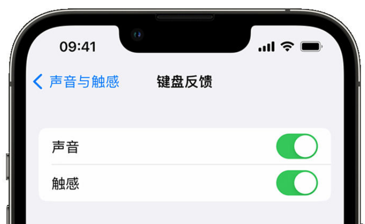 娄星苹果手机维修分享iPhone 14触感键盘使用方法 