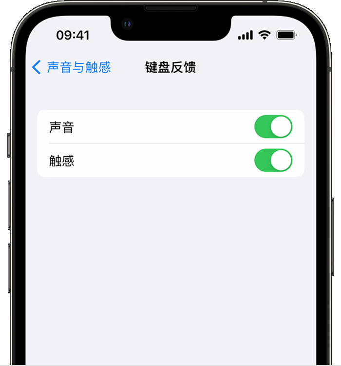 娄星苹果14维修店分享如何在 iPhone 14 机型中使用触感键盘 