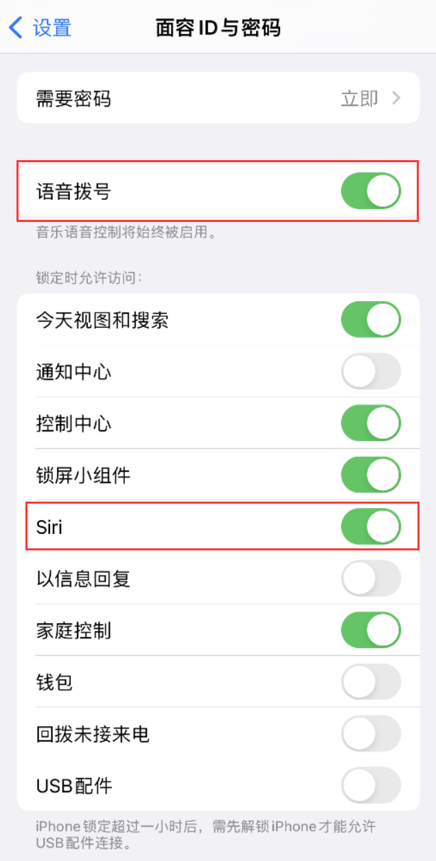 娄星苹果维修网点分享不解锁 iPhone 的情况下通过 Siri 拨打电话的方法 