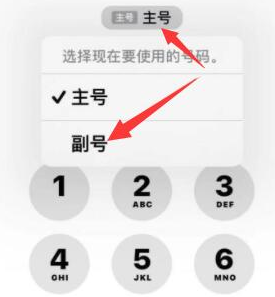 娄星苹果14维修店分享iPhone 14 Pro Max使用副卡打电话的方法 