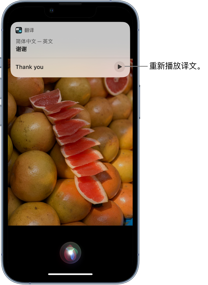 娄星苹果14维修分享 iPhone 14 机型中使用 Siri：了解 Siri 能帮你做什么 