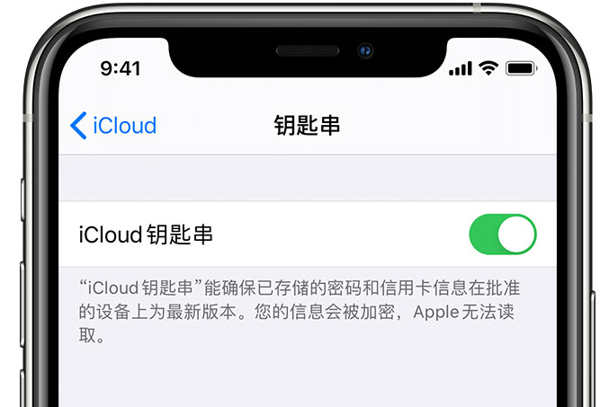 娄星苹果手机维修分享在 iPhone 上开启 iCloud 钥匙串之后会储存哪些信息 