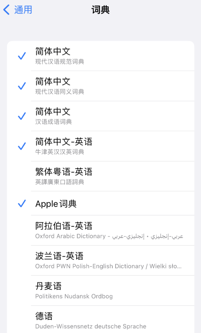 娄星苹果14维修分享 iPhone 14 系列使用技巧：灵活运用“搜索”功能 