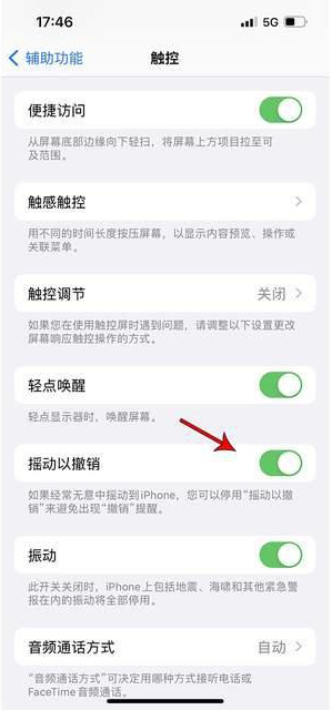 娄星苹果手机维修分享iPhone手机如何设置摇一摇删除文字 