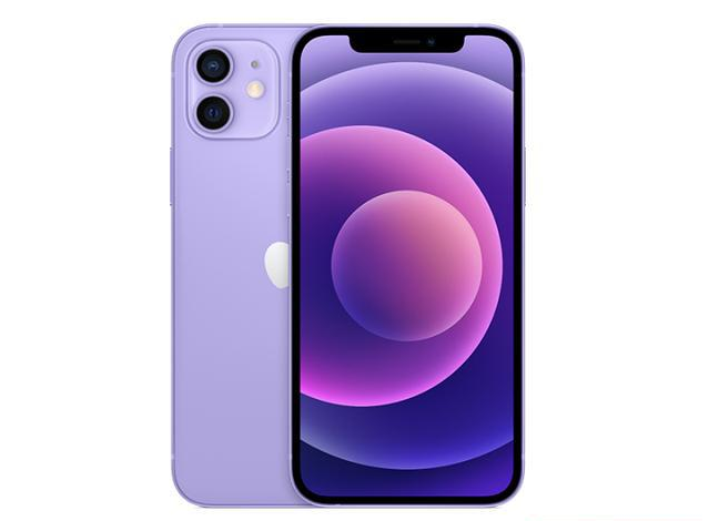 娄星苹果手机维修分享现阶段要不要入手紫色版iPhone12 