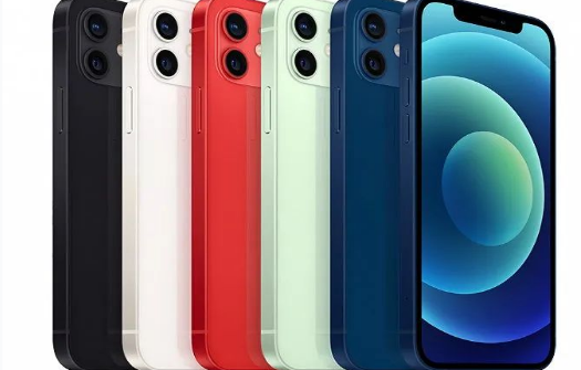 娄星苹果维修点分享iPhone12 Pro Max进水维修 