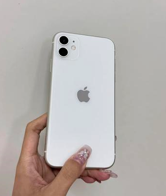 娄星苹果维修点分享iPhone 11黑屏特殊场景解析 